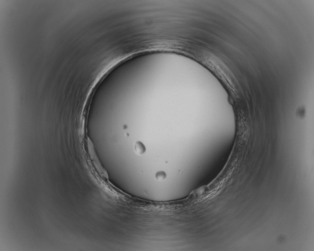 X0000097910900200803281400