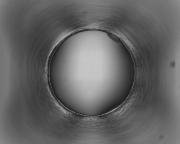 X0000097910902200803281400