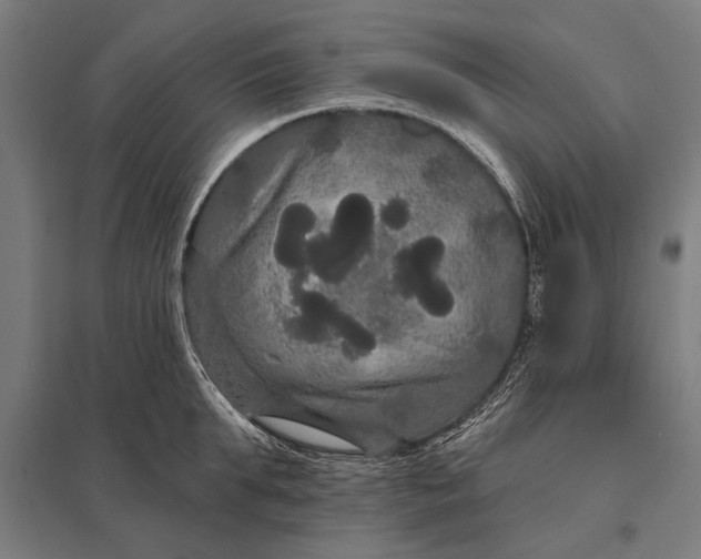 X0000097910903200803281400