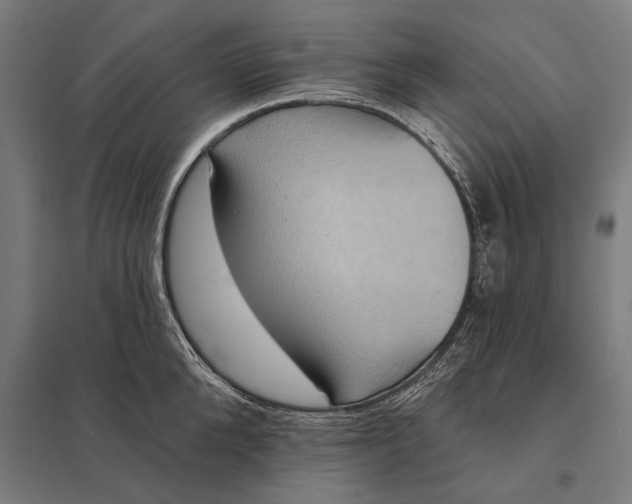 X0000097910904200803281400