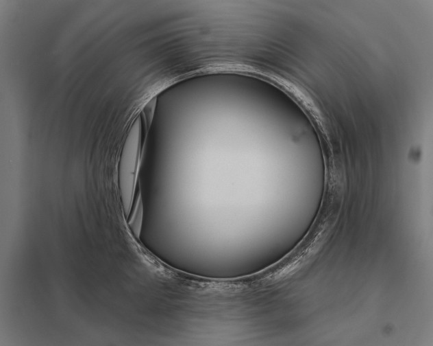 X0000097910905200803281400