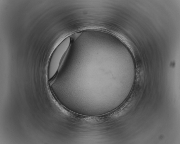 X0000097910906200803281400