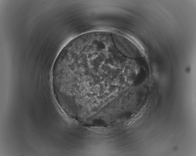 X0000097910907200803281359