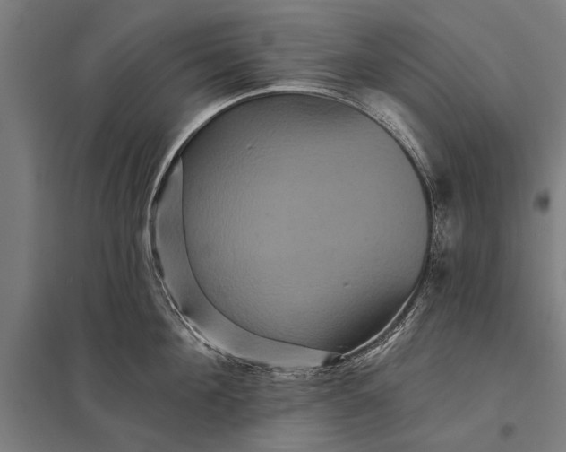 X0000097910908200803281359