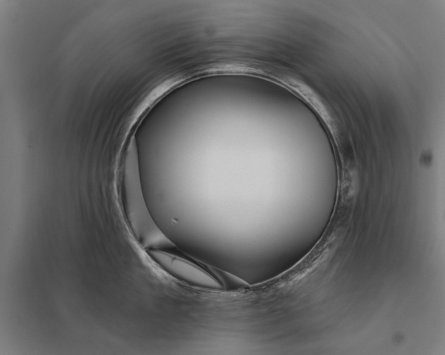 X0000097910909200803281359