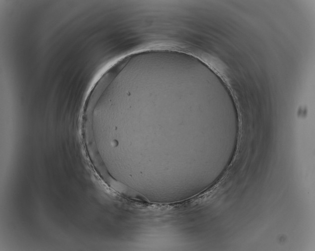 X0000097910912200803281359