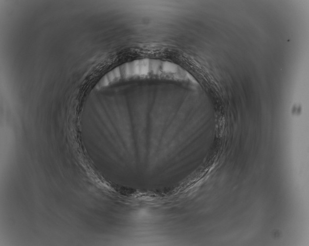 X0000097910913200803281359