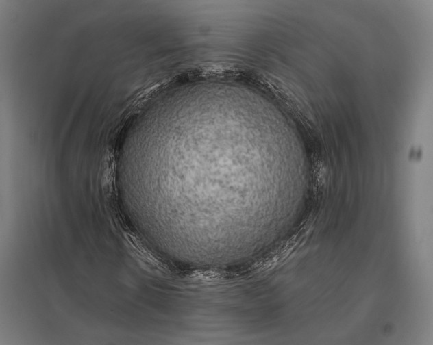 X0000097910914200803281359