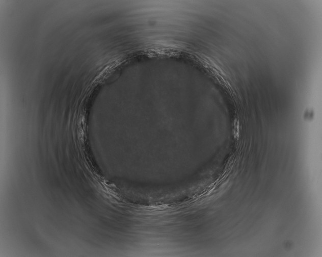 X0000097910915200803281359