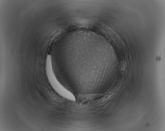 X0000097910916200803281359