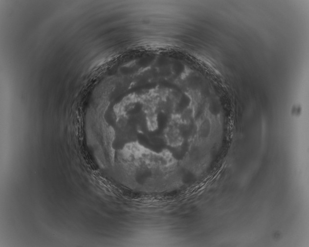 X0000097910917200803281359