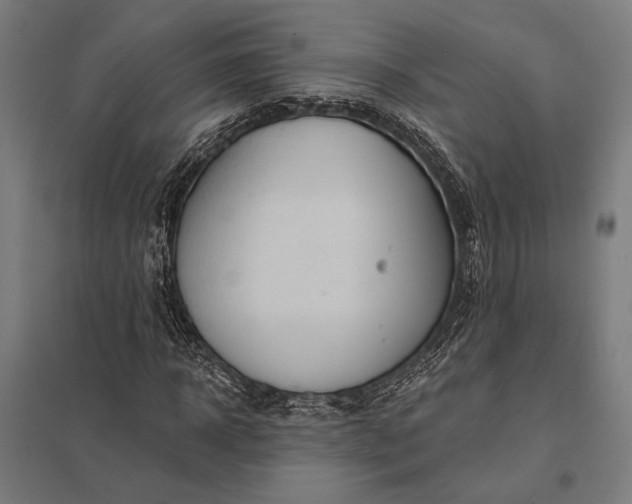 X0000097910918200803281359