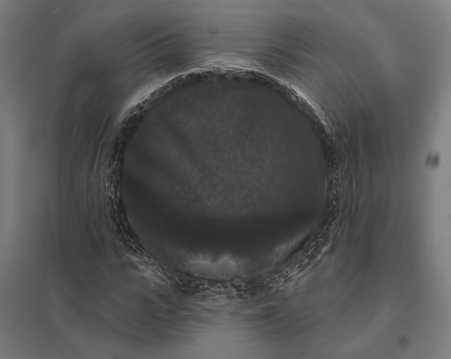 X0000097910919200803281359