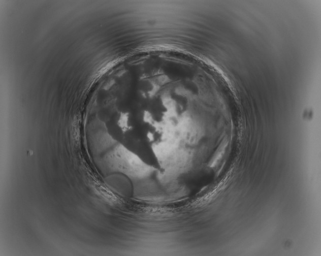 X0000097910921200803281359