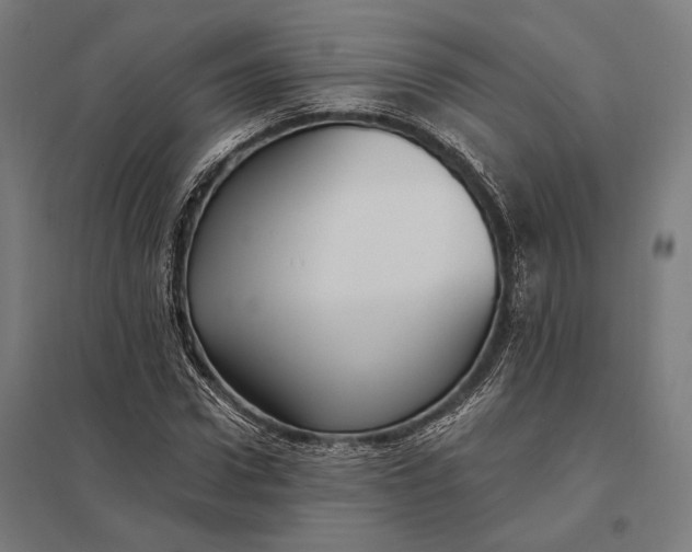 X0000097910922200803281359