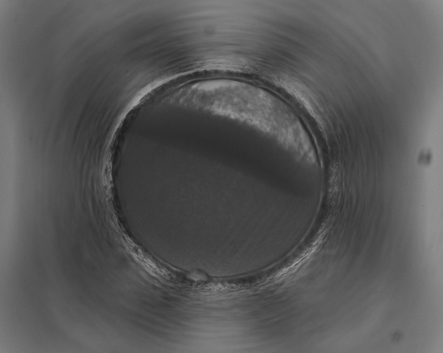 X0000097910923200803281359