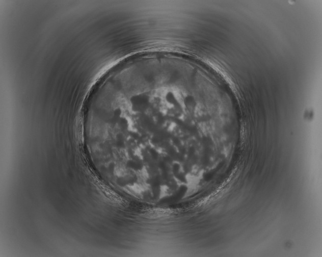 X0000097910925200803281359