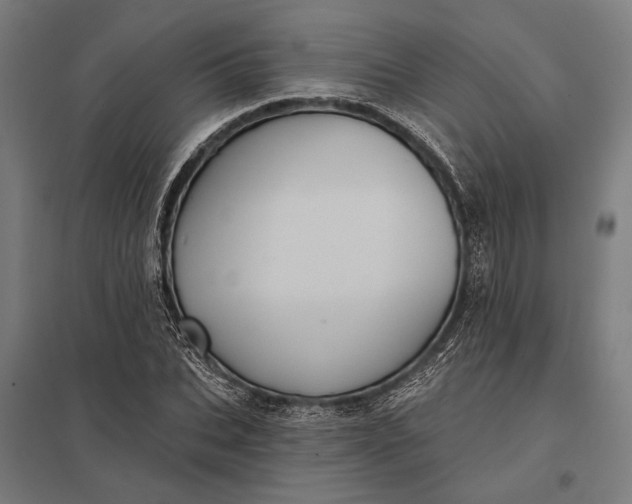 X0000097910927200803281359