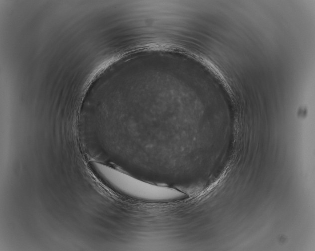 X0000097910930200803281359