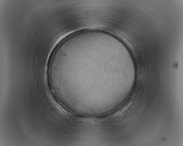 X0000097910932200803281359