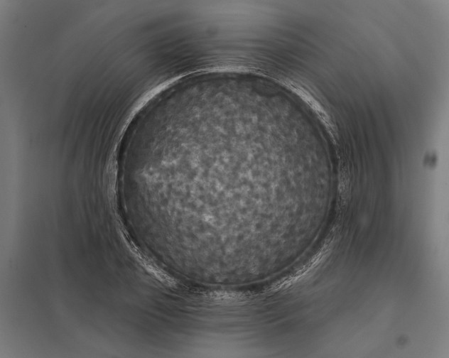 X0000097910933200803281359