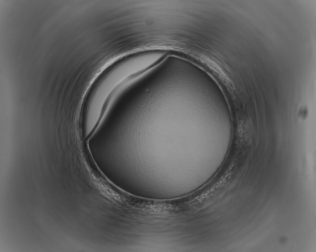 X0000097910934200803281359