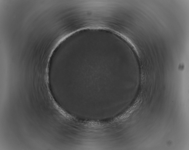 X0000097910935200803281359