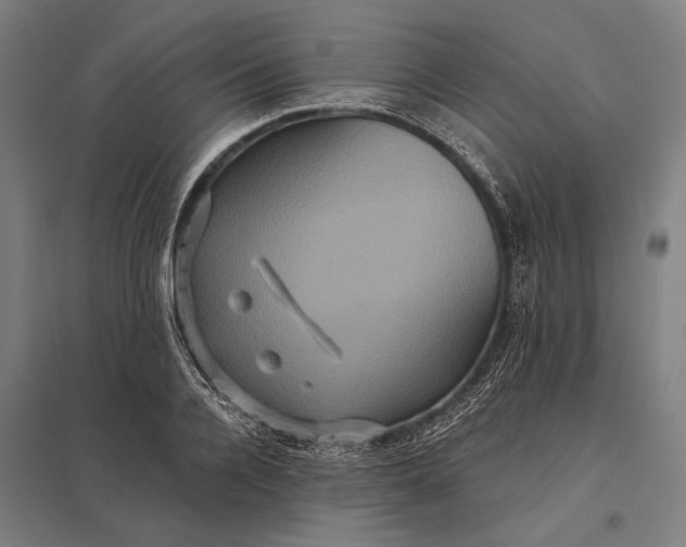 X0000097910936200803281359