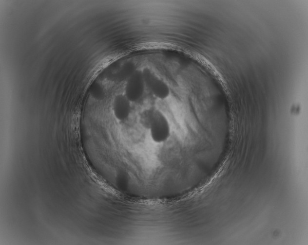 X0000097910937200803281359