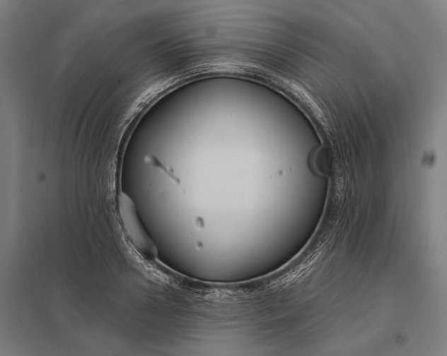 X0000097910938200803281359