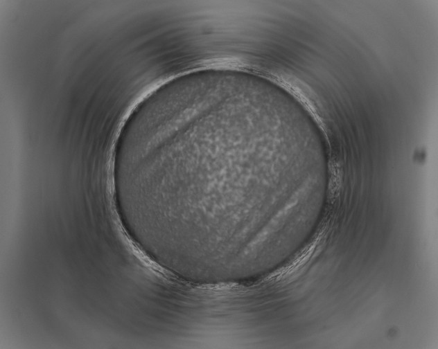 X0000097910939200803281359