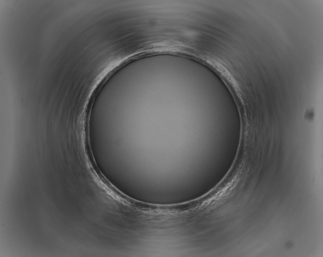 X0000097910941200803281359