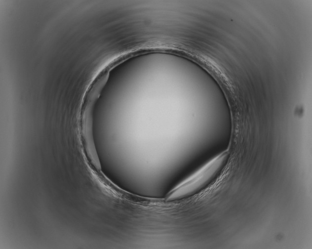 X0000097910942200803281359