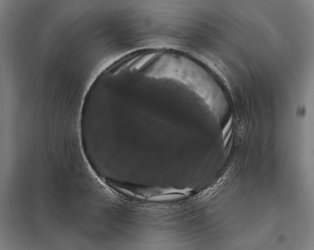 X0000097910943200803281359