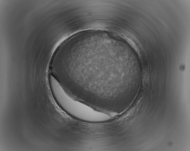 X0000097910944200803281359