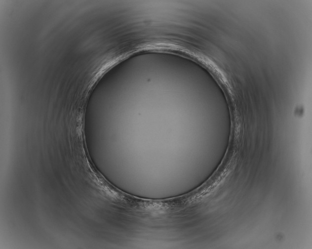 X0000097910945200803281359