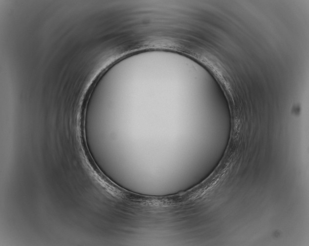 X0000097910947200803281359