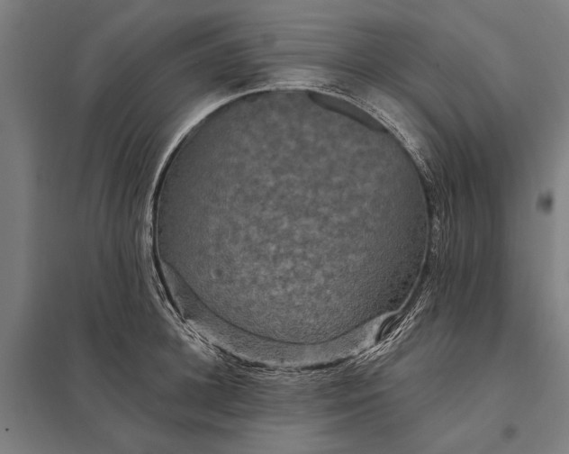 X0000097910948200803281359