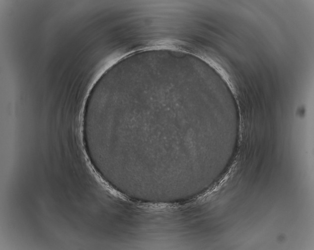 X0000097910949200803281359