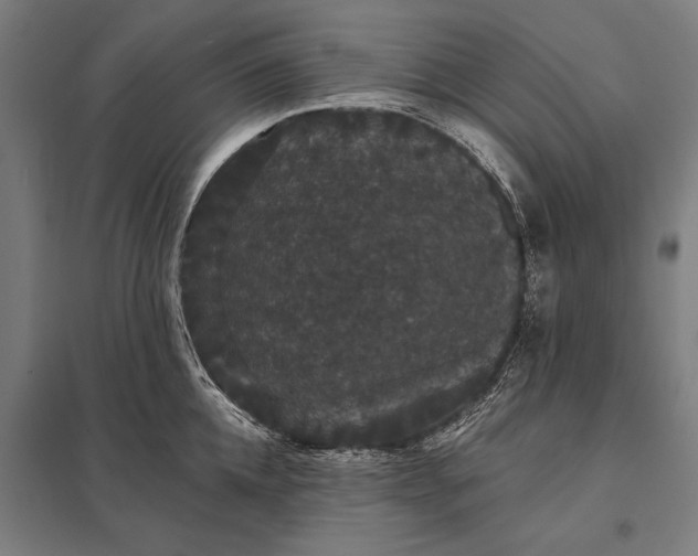 X0000097910952200803281359