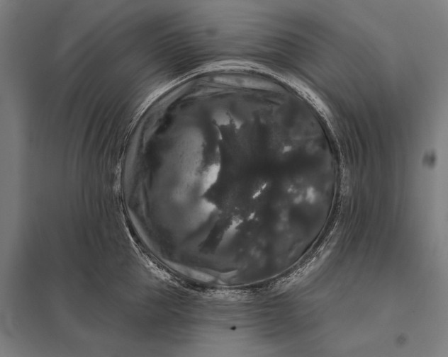 X0000097910953200803281359