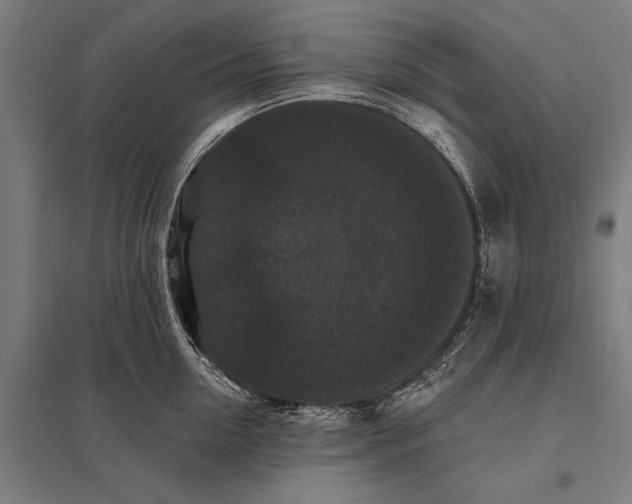 X0000097910954200803281359