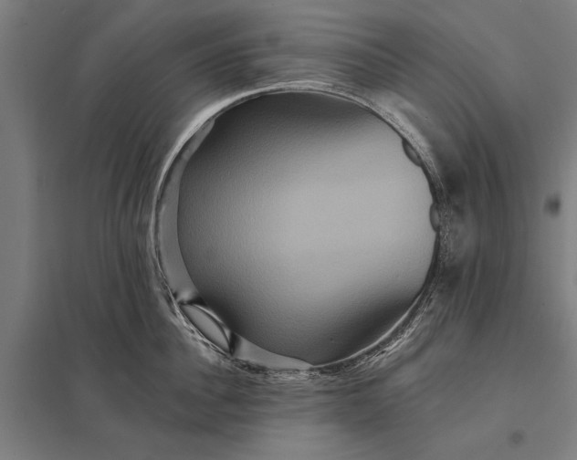 X0000097910956200803281359