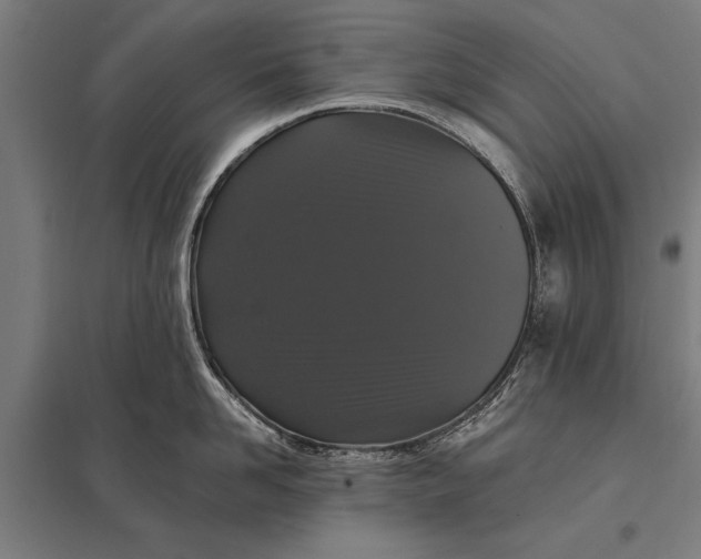 X0000097910958200803281359