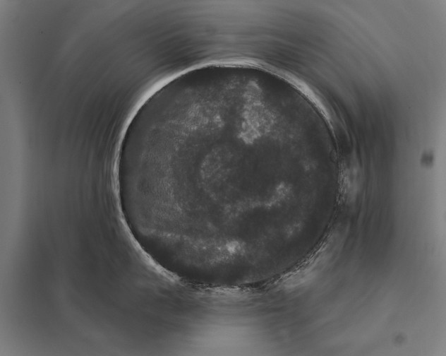 X0000097910959200803281359