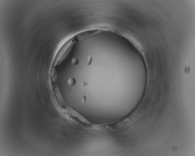 X0000097910960200803281359