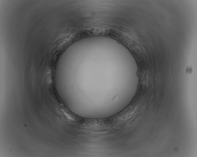 X0000097910962200803281359