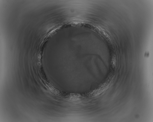 X0000097910964200803281359