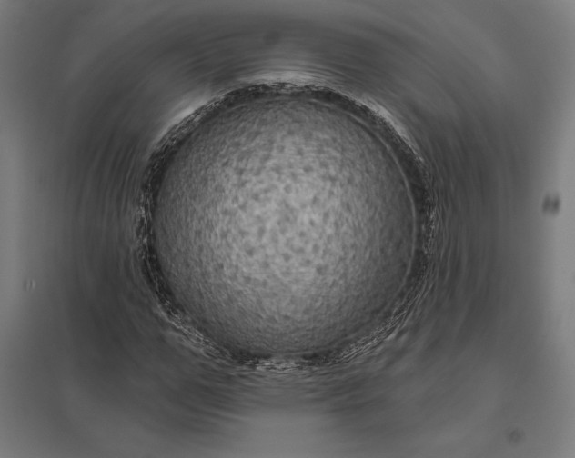 X0000097910967200803281358