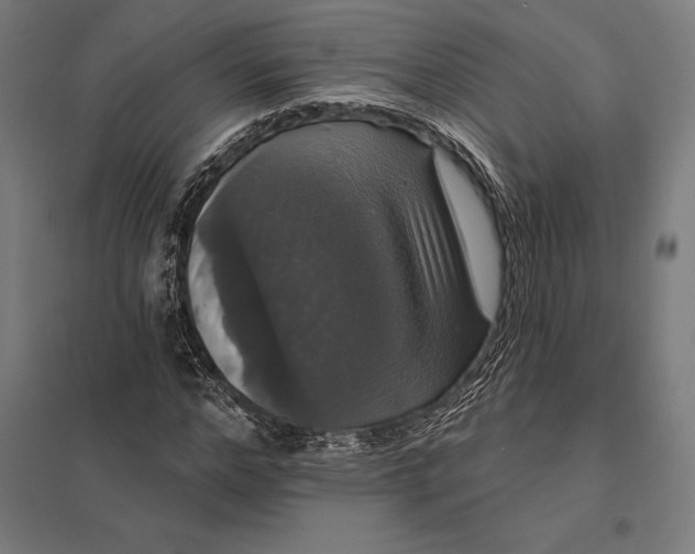 X0000097910968200803281358